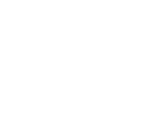 The Pass Plus Logo